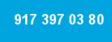 917 397 03 80